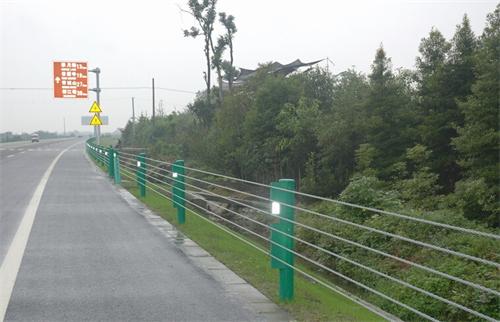 1460354234638265.jpg 2.jpg